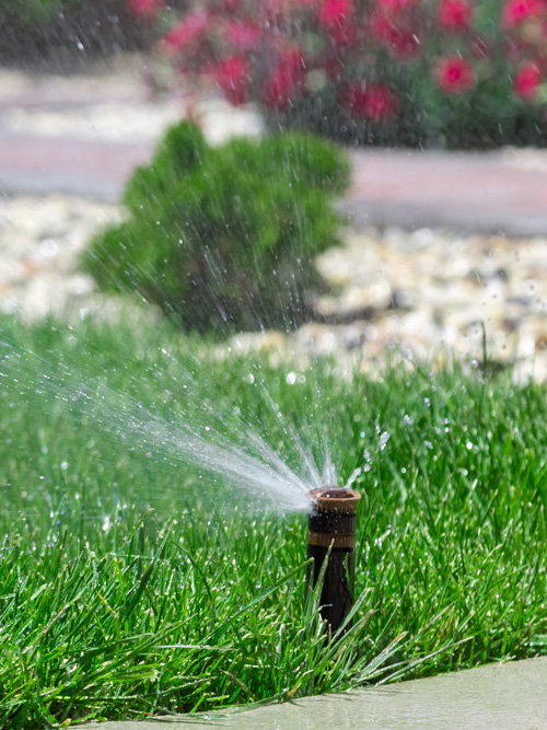 Residential Sprinkler System Installation